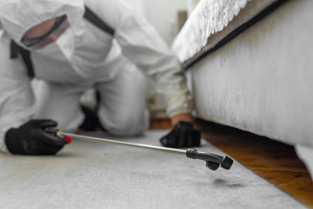 Professional Ant Control technician working in Larimore, ND
