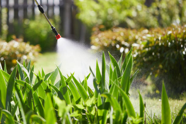 24/7 Emergency Ant Control experts in Larimore, ND